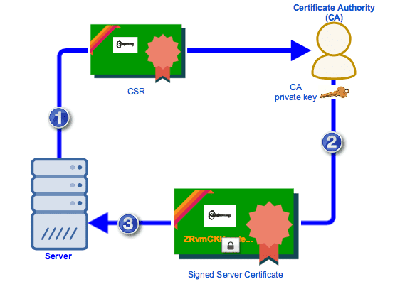 CSR